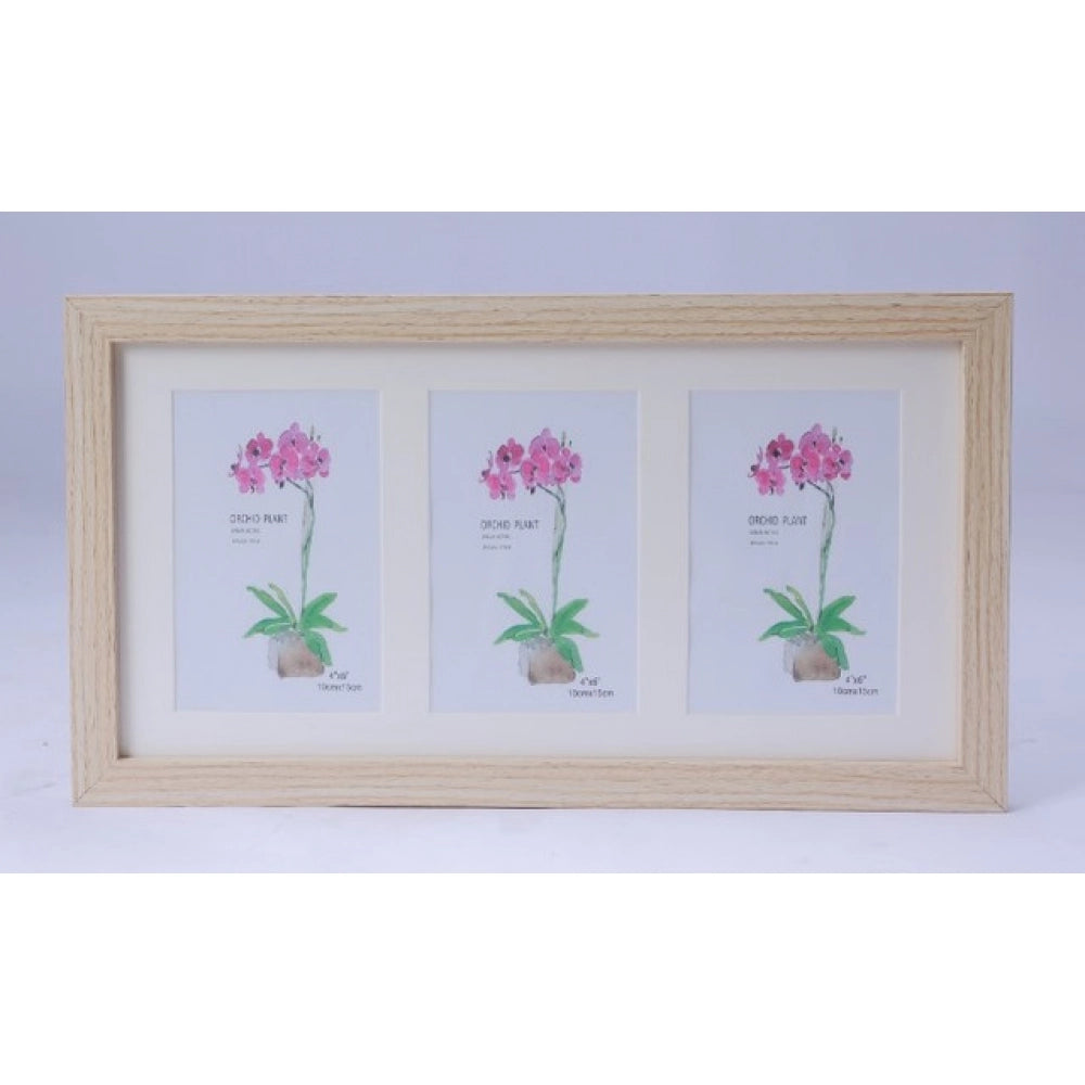 Generic Acrylic Cactus Image Frame (Multicolor)
