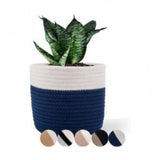 White-Blue